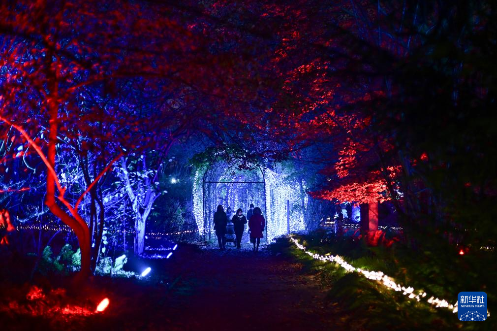 11月8日，游客在波蘭華沙大學(xué)參觀“魔法植物園”燈光展。新華社發(fā)（阿列克謝·維特維茨基攝）