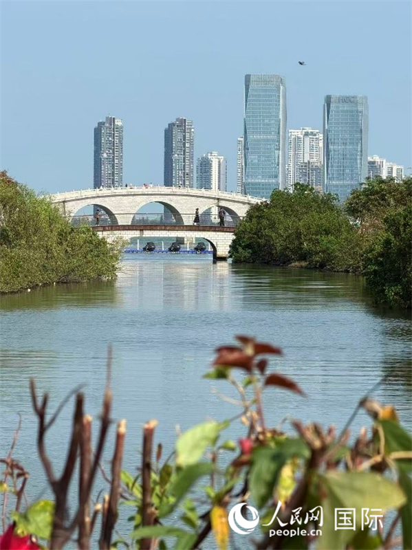 海南省?？谑校瑥娜f綠園眺望城市天際線。 人民網(wǎng) 王瀟平攝