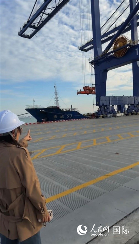 海南省儋州市洋浦經(jīng)濟(jì)開發(fā)區(qū)，洋浦國際集裝箱碼頭一角。人民網(wǎng) 柯明可攝