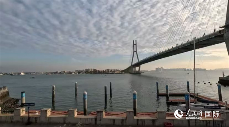 海南省儋州市洋浦大橋。人民網(wǎng) 薩拉·阿芙澤爾攝