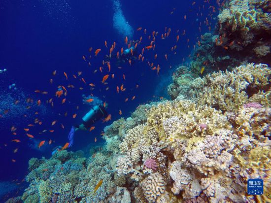  102˂?c)ڰΰu_(d){(ln)(ni)ɺAӛ ȄP z