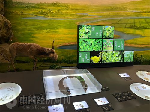   t(y)ˎ^չĸˎˑ(yng)ӲϾЇ(jng)(j)ܿӛ ־(qing) z