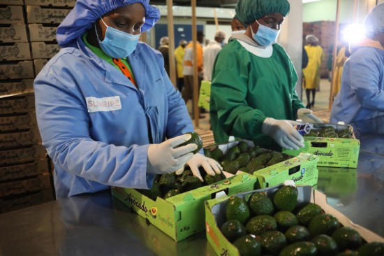 202282λڿ၆(zhn)ɣչSTţ͹bAӛ߶xz