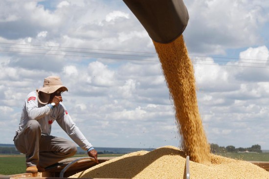   2023年2月11日，農民在巴西巴西利亞附近的納蒂瓦農場收獲大豆。新華社發(fā)（盧西奧·塔沃拉攝）