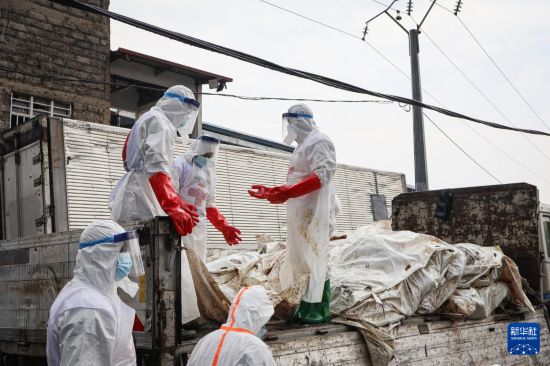 2月5日，在剛果（金）北基伍省首府戈馬市，工作人員轉(zhuǎn)移遇難者遺體。新華社發(fā)（加南攝）