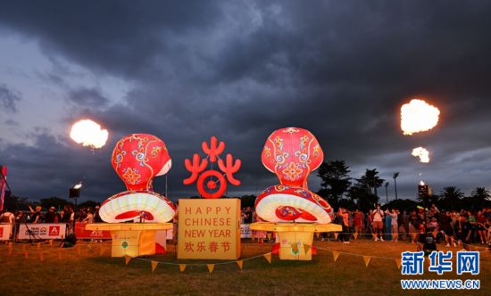 圖為游客在2025年奧克蘭元宵燈節(jié)游覽。（圖片由奧克蘭中國(guó)文化中心提供）