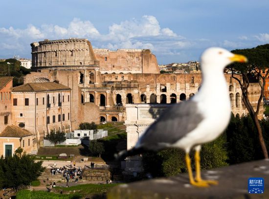 這是3月25日在意大利羅馬拍攝的夕陽下的斗獸場。新華社記者 李京 攝