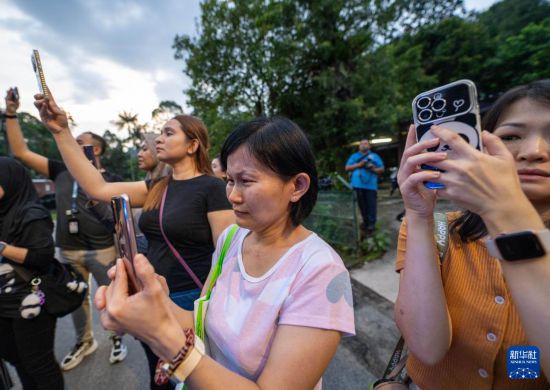 5月18日，民眾聚集在馬來西亞吉隆坡的國家動物園外與大熊貓告別。新華社發(fā)（張紋綜攝）