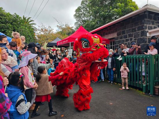 5月31日，在新西蘭奧克蘭舉辦的端午節(jié)文化活動中，人們觀看舞獅表演。新華社發(fā)（吳家翔攝）
