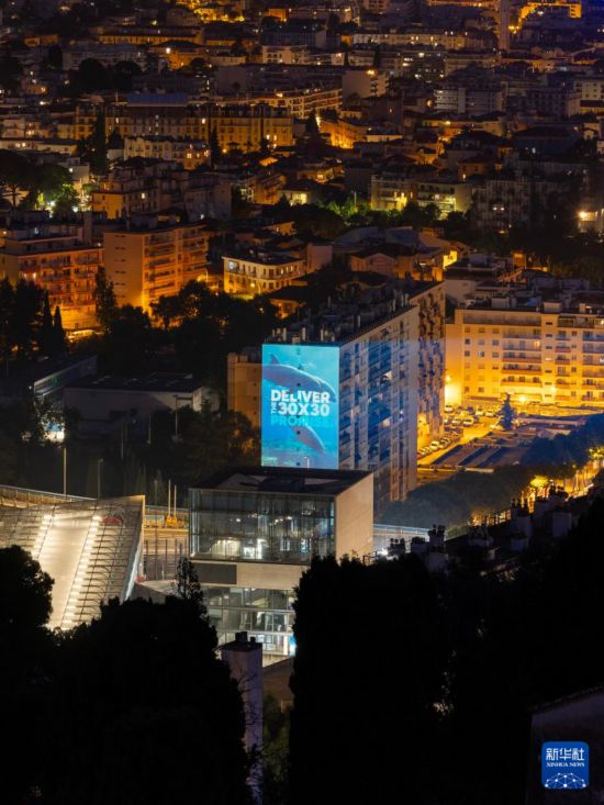 這是6月8日晚在法國尼斯拍攝的第三屆聯(lián)合國海洋大會(huì)主題投影。新華社發(fā)（第三屆聯(lián)合國海洋大會(huì)組委會(huì)供圖）