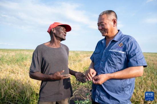 　　5月9日，在莫桑比克加扎省賽賽市萬寶莫桑農(nóng)業(yè)園，中國員工和當?shù)剞r(nóng)戶交談。新華社發(fā)（門德斯·蒙德拉內(nèi)攝）
