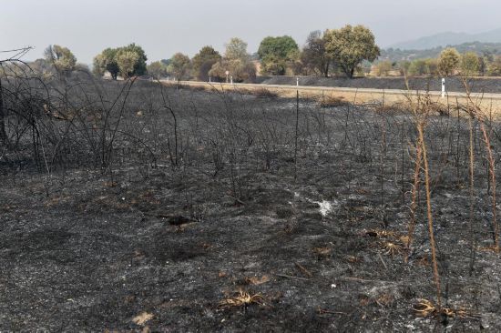 　　這是8月18日在西班牙卡塞雷斯省拍攝的被燒毀的土地。新華社發(fā)（古斯塔沃·巴連特?cái)z）