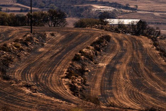　這是7月2日在西班牙列伊達(dá)拍攝的森林火災(zāi)中被燒毀的土地。新華社發(fā)（胡安·戈薩攝）