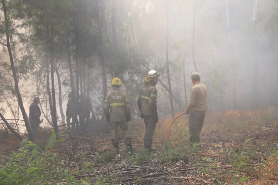 8月22日，在葡萄牙烏尼艾什－迪塞拉附近，消防員在火場工作。新華社記者荀偉攝