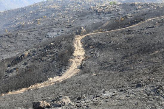 這是8月23日在葡萄牙烏尼艾什－迪塞拉附近拍攝的野火肆虐后的景象。新華社記者荀偉攝