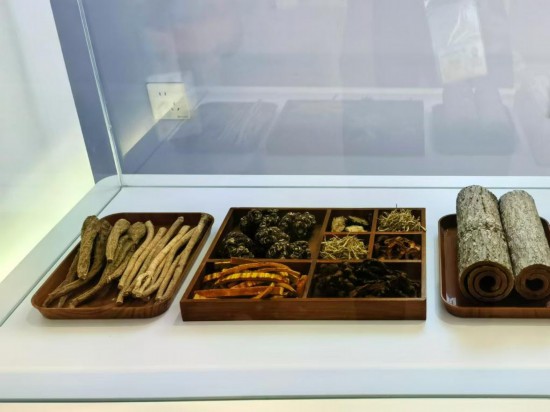 2025年上海合作組織峰會(huì)新聞中心中醫(yī)理療點(diǎn)展示的中藥材。新華社記者 黃江林 攝