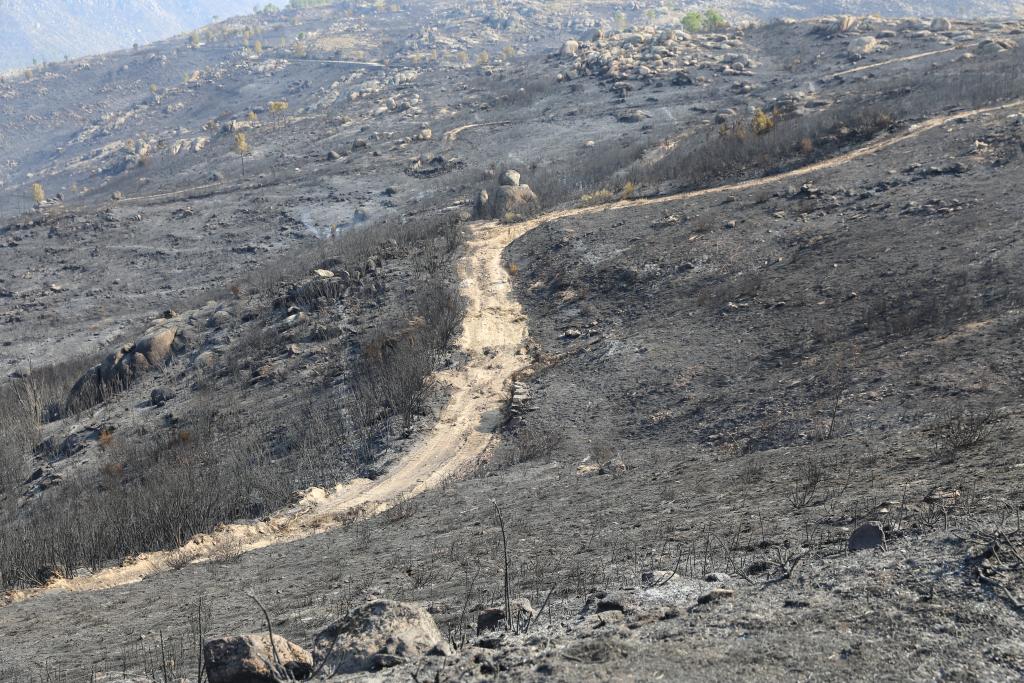 這是8月23日在葡萄牙烏尼艾什－迪塞拉附近拍攝的野火肆虐后的景象。新華社記者荀偉攝